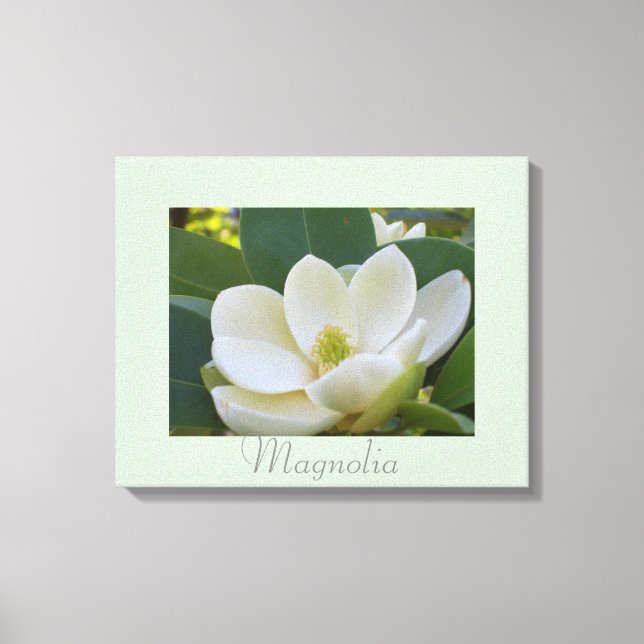 Blume Weißes Magnolia Kunst, Dichtung und Musik Leinwanddruck (Vorderseite)