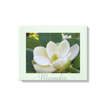 Blume Weißes Magnolia Kunst, Dichtung und Musik