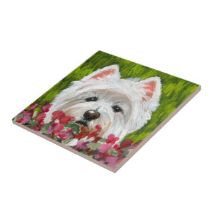 Blume Westie und Pink Fliese