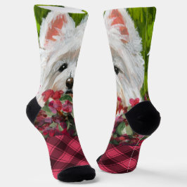 Blume Westie und Pink Socken