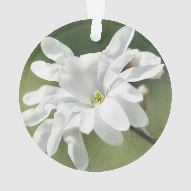 Blume White Magnolia Ornament (Rückseite)