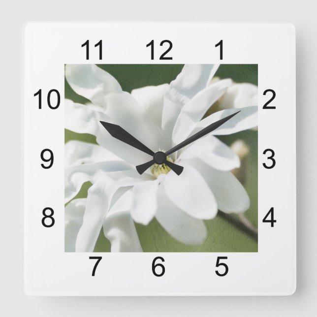 Blume White Magnolia Quadratische Wanduhr (Vorderseite)