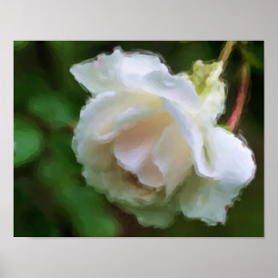 Blume White Rose Poster