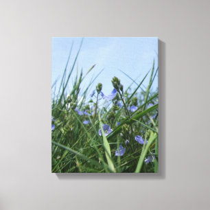 Blume Wiese Canvas Print Leinwanddruck