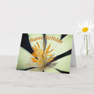 Blume-Zentrum für Blutwurzeln Geburtstag Karte