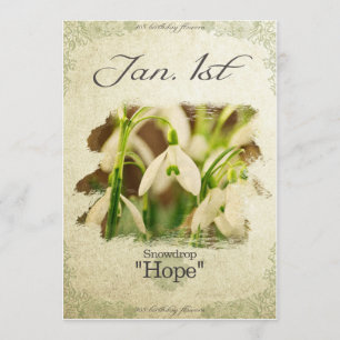 Blume zum 1. Januar "Snowdrop" Karte