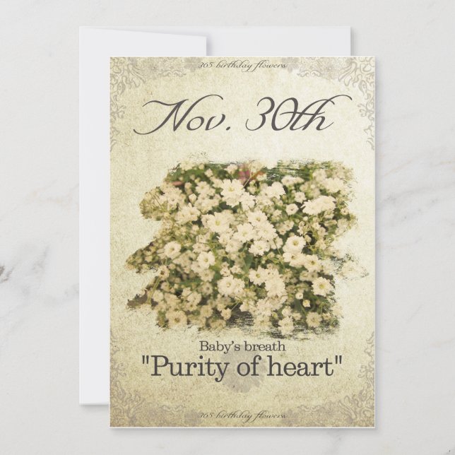 Blume zum Geburtstag am 30. November"Babyatmen" Karte (Vorderseite)