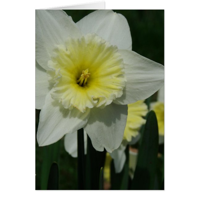 Blume zum Muttertag (Vorne)