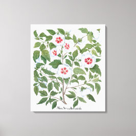 Blume zum Vintagen Hibiskus von Basilius Besler Leinwanddruck