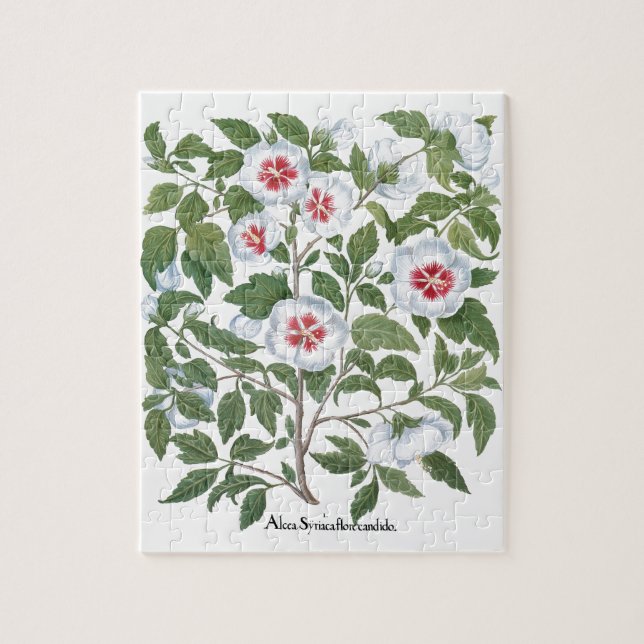 Blume zum Vintagen Hibiskus von Basilius Besler Puzzle (Vertikal)