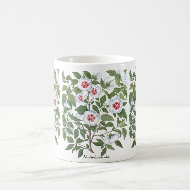 Blume zum Vintagen Hibiskus von Basilius Besler Tasse (Mittel)