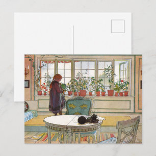 Blume zum Windows von Carl Larsson Postkarte