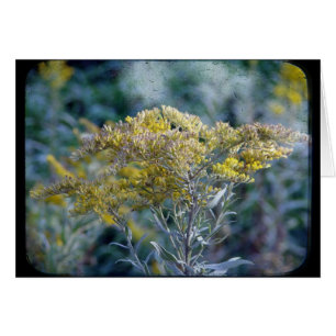 Blume zur Herbstzeit