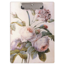 Blume zur Vintagen Rose von P.J. Redoute Klemmbrett
