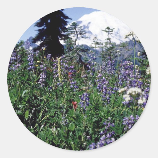 Blumen 139 runder aufkleber (Vorderseite)