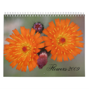 Blumen 2009 kalender