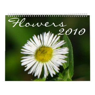 Blumen 2010 kalender