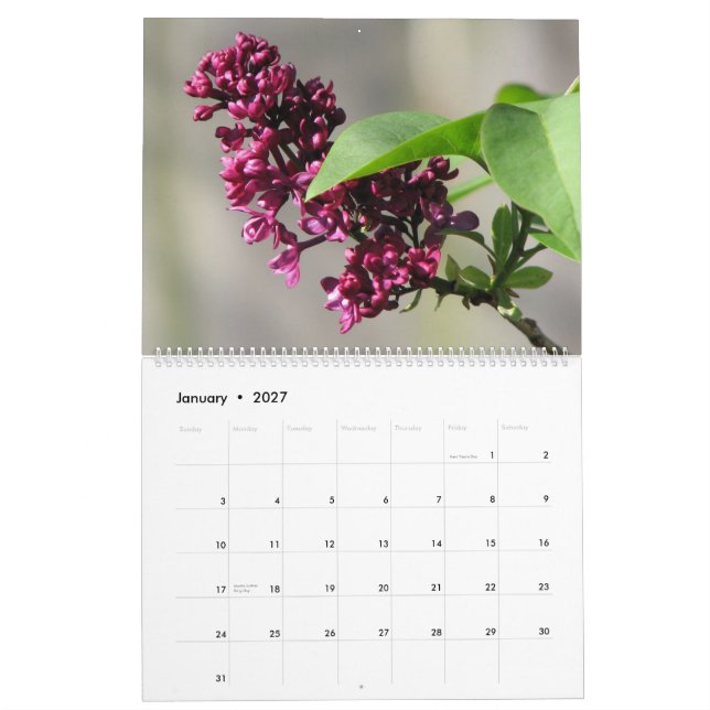 Blumen 2010 kalender (Jan 2027)