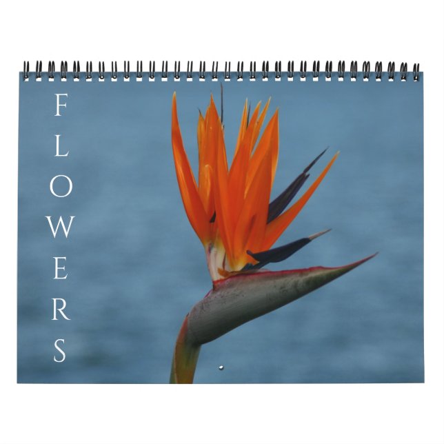 Blumen 2027 kalender (Titelbild)