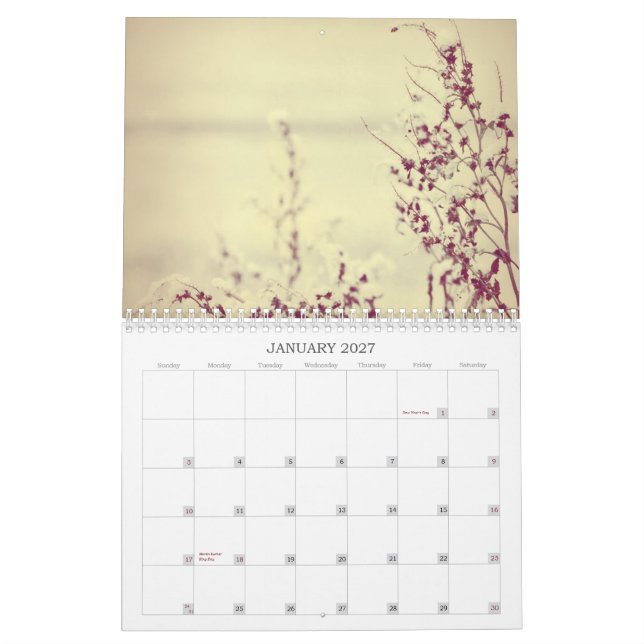 Blumen aller Jahr-lange Kalender 2013 (Jan 2027)