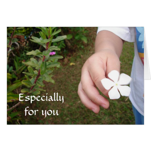 Blumen-Angebot * (Vorderseite (Horizontal))