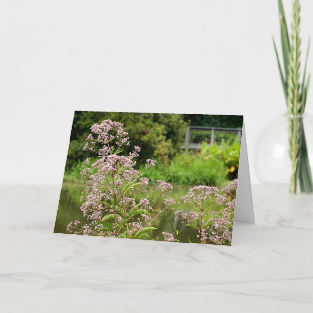 Blumen-Anmerkungs-Karte Joes Pye Karte (Vorderseite)