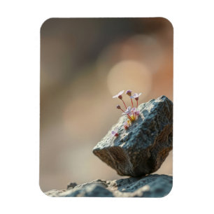Blumen auf Fels Magnet