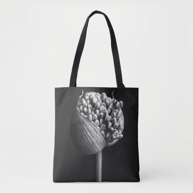 Blumen | B&W Allium Blume Bud (Vorderseite)