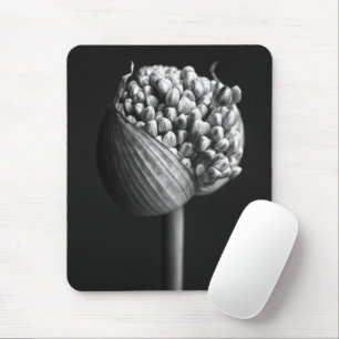 Blumen   B&W Allium Blume Bud Mousepad