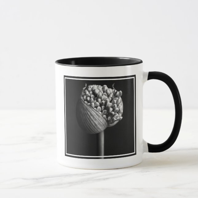 Blumen | B&W Allium Blume Bud Tasse (Rechts)