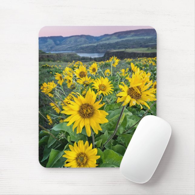 Blumen | Balsomroot Columbia River, Oregon Mousepad (Mit Mouse)