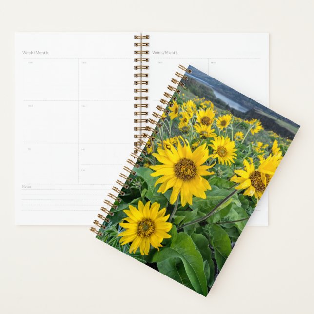 Blumen | Balsomroot Columbia River, Oregon Planer (Anzeige)