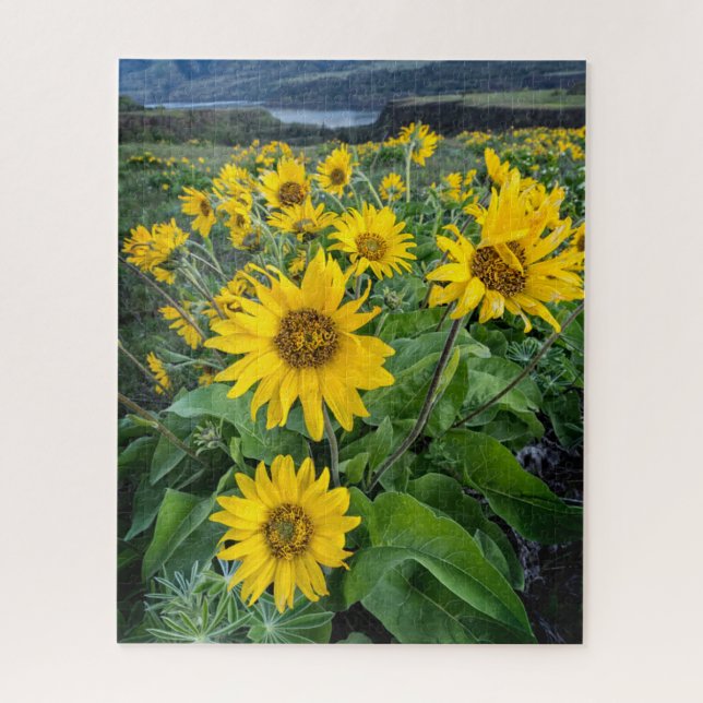 Blumen | Balsomroot Columbia River, Oregon Puzzle (Vertikal)