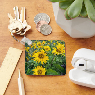 Blumen Balsomroot Columbia River, Oregon Schlüsselanhänger