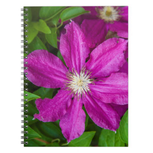 Blumen bei Robinette's Apple Haus and Gift Barn Notizblock