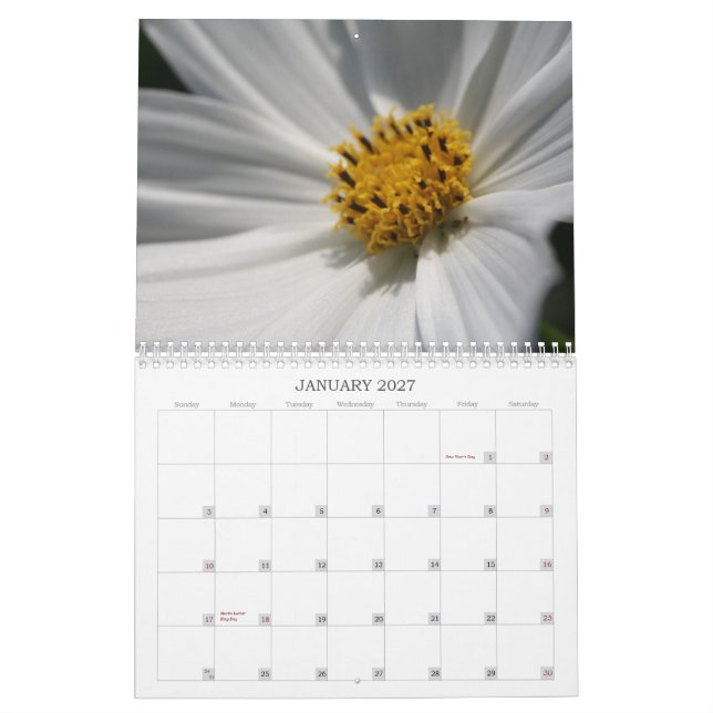 Blumen-Bilder Kalender (Jan 2027)