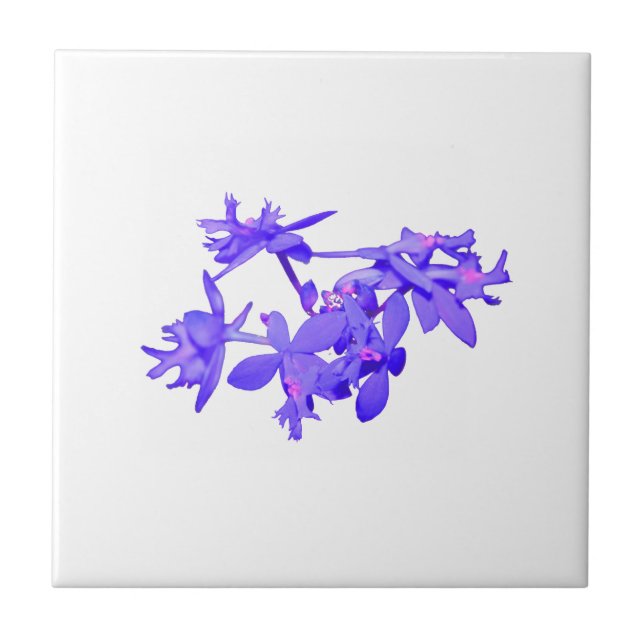 Blumen-Blau abgetönte Grundorchidee Fliese (Vorderseite)