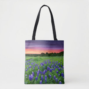 Blumen   Bluebonnets bei Sunset Texas