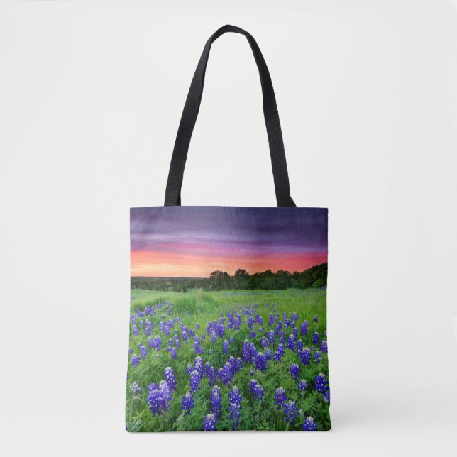 Blumen | Bluebonnets bei Sunset Texas (Vorderseite)