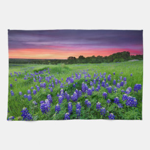 Blumen   Bluebonnets bei Sunset Texas Geschirrtuch