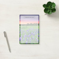 Blumen | Bluebonnets bei Sunset Texas