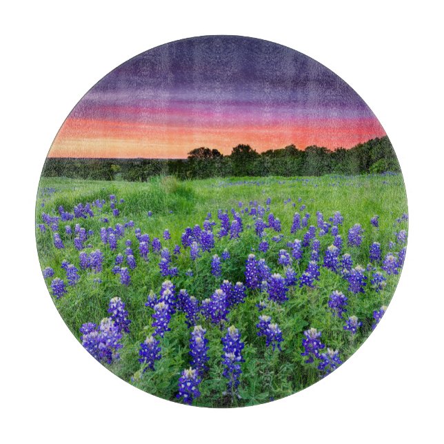 Blumen | Bluebonnets bei Sunset Texas Schneidebrett (Vorderseite)