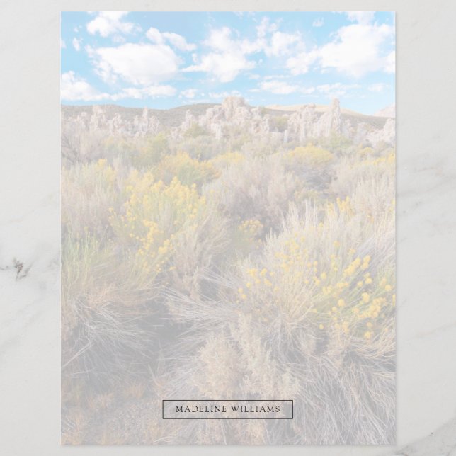 Blumen | Blühende Sagebrush Kalifornien (Vorderseite)