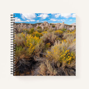 Blumen Blühende Sagebrush Kalifornien Notizbuch