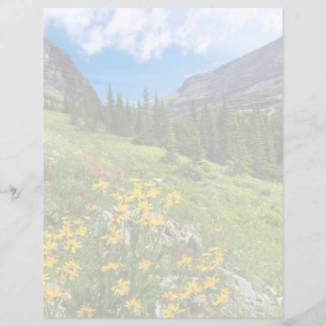 Blumen | Blume Montana (Vorderseite)