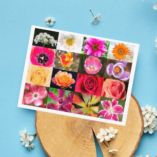 Blumen, Blumen Überall Postkarte