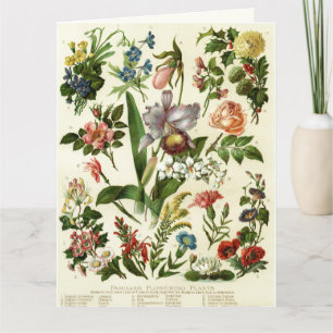 Blumen Botanicals Karte