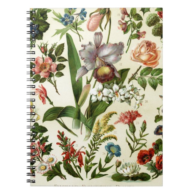 Blumen Botanicals Notizblock (Vorderseite)
