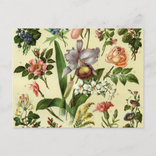 Blumen Botanicals Postkarte