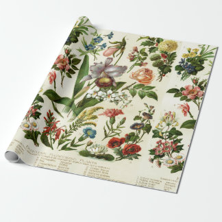 Blumen Botanik Geschenkpapier